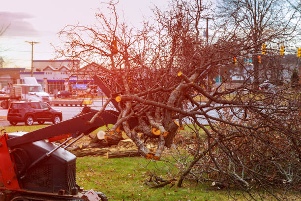 Seasonal Cleanup (Spring/Fall) in Monroe Manor, NJ